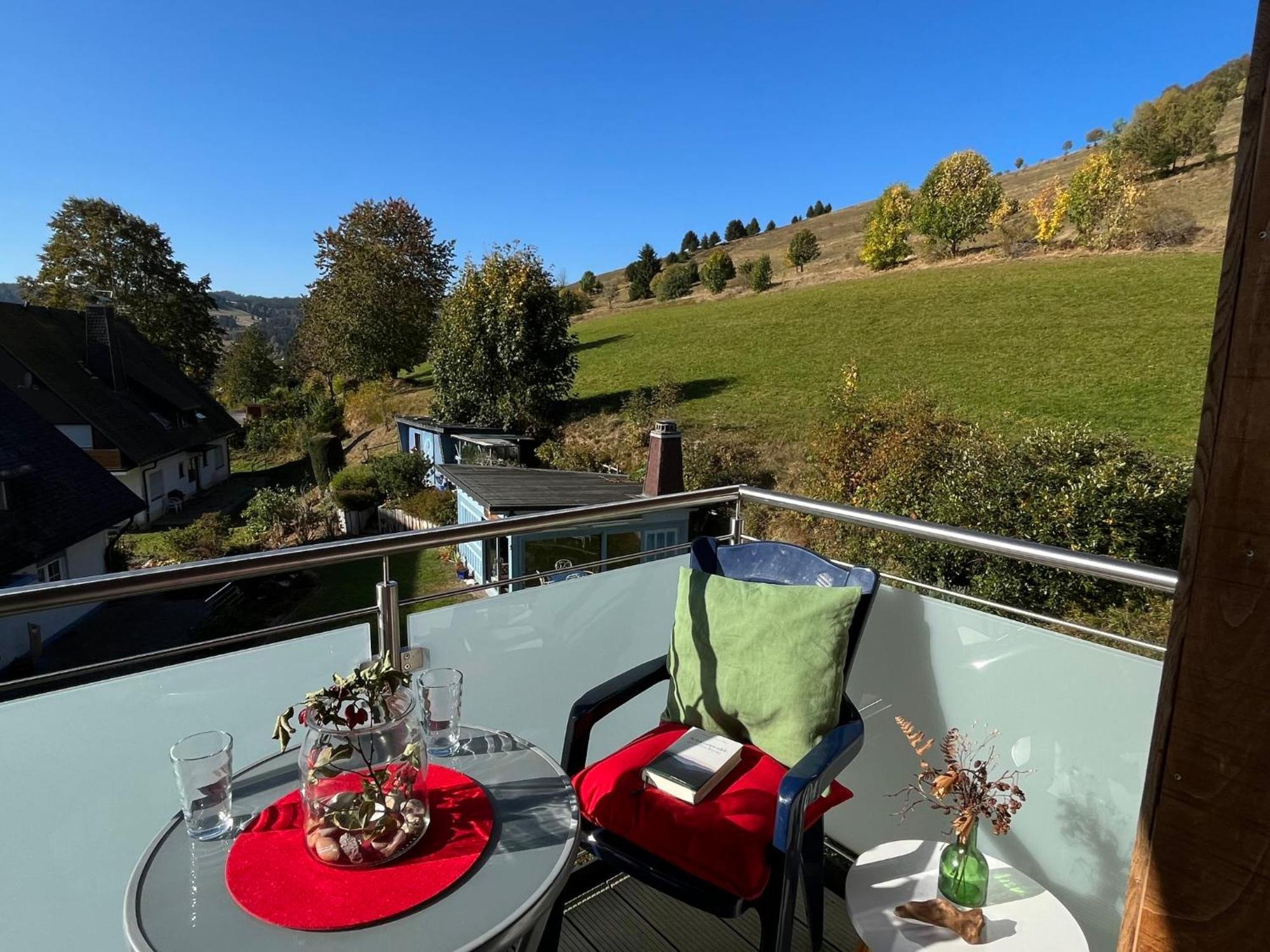 Apartment Schwarzwaldblick I By Interhome Бернау  Экстерьер фото